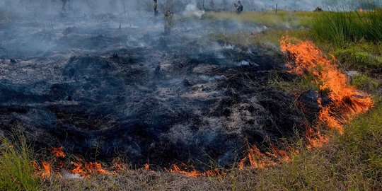 Masuki kemarau, 305 hektar lahan di OKI terbakar