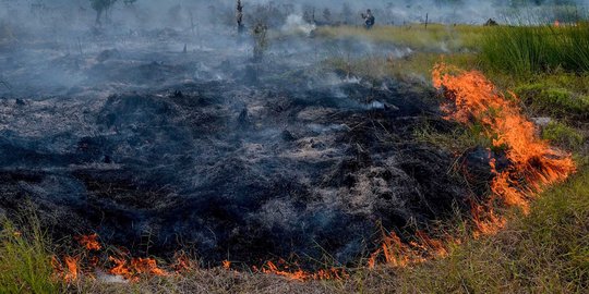 Data BPBD: Luas hutan dan lahan terbakar di Riau capai 2.152 hektare