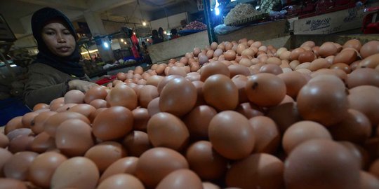 Harga telur ayam ditargetkan turun ke Rp 22.000 per Kg pekan depan