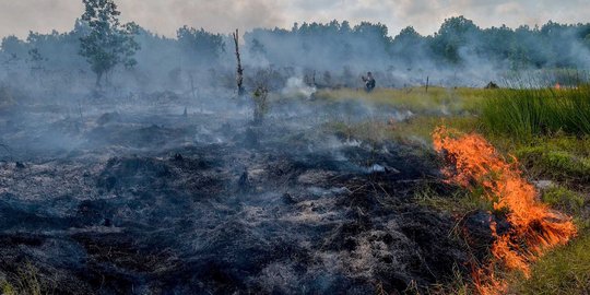 Karhutla di OKI kembali meluas, 60 tim berjibaku padamkan api