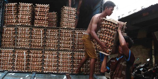 Mentan: Saat harga telur rendah, banyak peternak gulung tikar