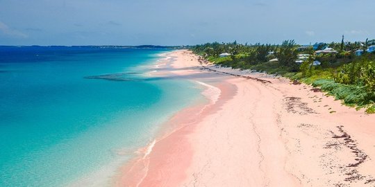 beach bahama