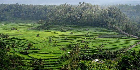 5 Kota di Indonesia ini biasanya panas, bulan ini mendadak dingin