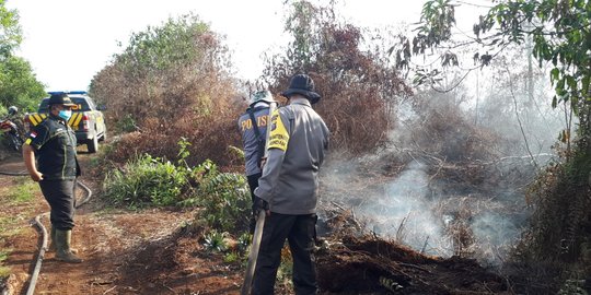 Hutan konservasi pengawasan BKSDA Riau terbakar 15 hektare