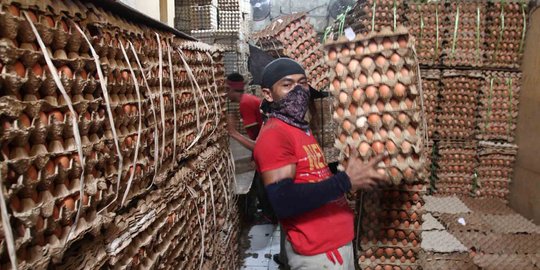 Harga telur naik, Kementerian Pertanian diminta ikut bertanggung jawab