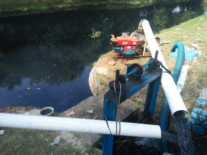 petani karawang gunakan air limbah untuk mengairi sawah