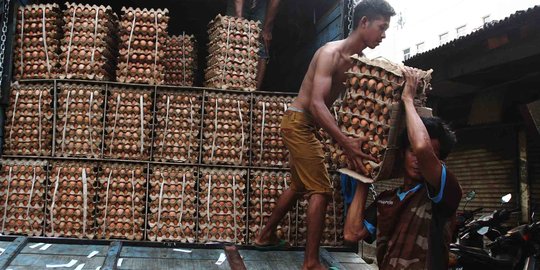 Mentan soal harga telur tinggi: Bukan karena produksi, kita sudah ekspor