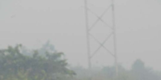 2.445 hektare lahan terbakar di Riau, terparah di Meranti