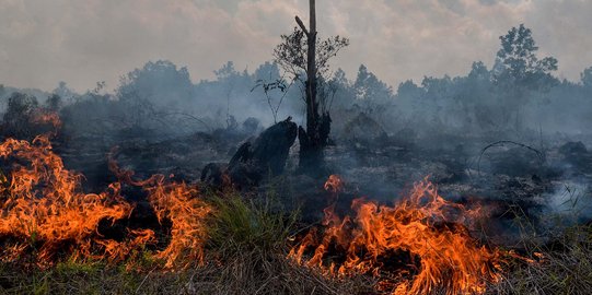 360 Hektare lahan di Sumsel terbakar dalam sepekan, hotspot makin menyebar