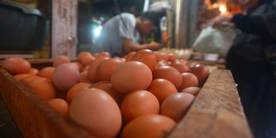 Harga telur ayam turun tipis