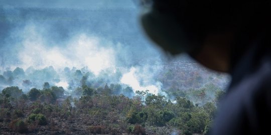 Karhutla di Sumsel berada di lahan konflik perusahaan dan warga