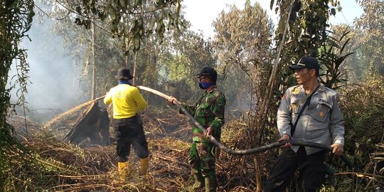 Kebakaran hutan meluas, Istana minta Polri segera investigasi & buru pelaku