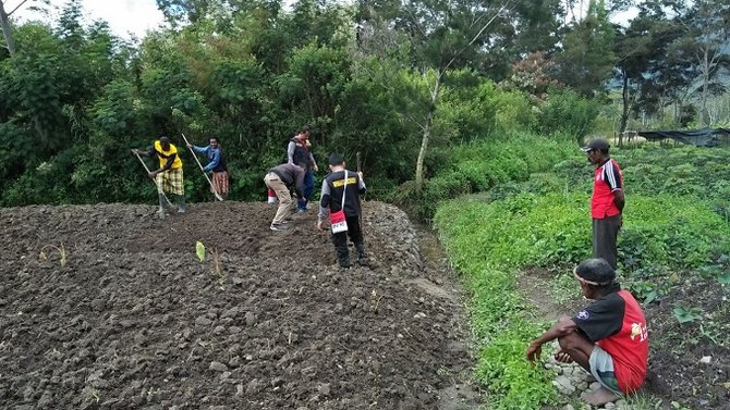 satgassus operasi papua