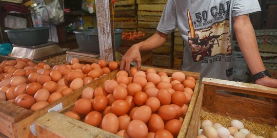 Komisi IV DPR desak Kementan beri data konkret soal kenaikan harga telur