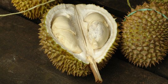 Jual durian lewat online, pria ini raup untung hingga Rp 212 miliar setahun