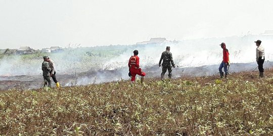 Kebun tebu milik PTPN VII di OKI terbakar