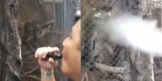 Video viral David kini dapat kecaman keras netizen