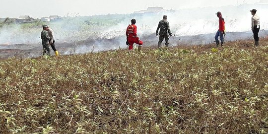 Terlibat pembakaran lahan, direktur perusahaan di Jambi jadi tersangka