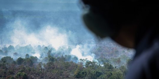 Polda Sumsel tangani 15 kasus karhutla, 2 di antaranya melibatkan korporasi