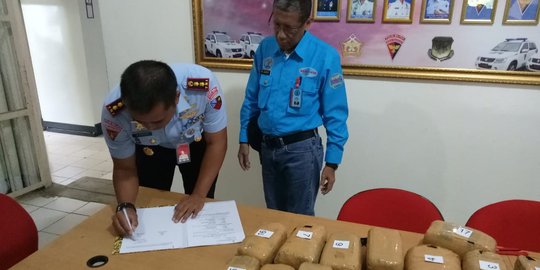 Petugas Lanud Atang Senjaya temukan 17 paket ganja di dalam kardus