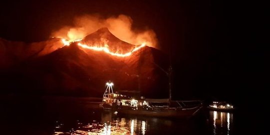 Kebakaran padang rumput di Gili Lawa Pulau Komodo, sejumlah saksi diperiksa polisi
