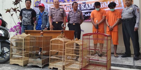 Polisi bekuk dua maling burung senilai puluhan juta