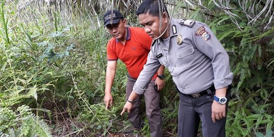 Pemburu babi temukan tengkorak di kebun sawit Bengkalis