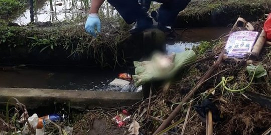 Dikira bangkai babi, kantong plastik di parit sawah ternyata isi orok