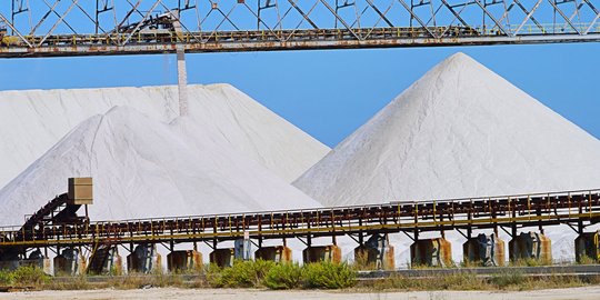 Kurangi impor, PT Garam jajaki kerja sama dengan China