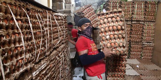 Kemendag: Mahalnya harga telur dan daging ayam di luar ekspektasi kami
