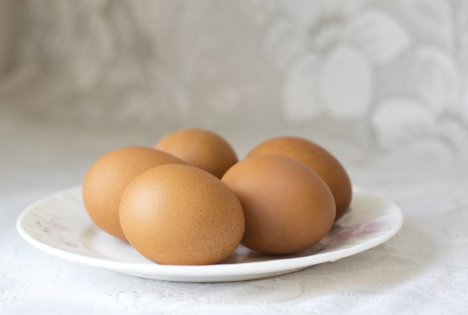 ilustrasi telur