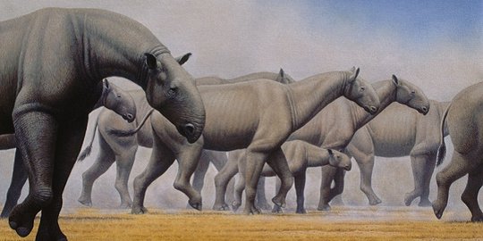 4 Hewan Raksasa Ini Pernah Hidup Di Dunia Merdeka Com