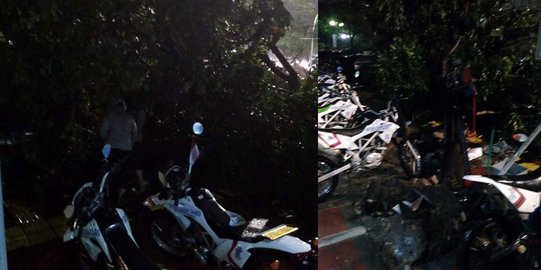 Sedang diperbaiki, motor polantas tertimpa pohon di Lapangan Banteng