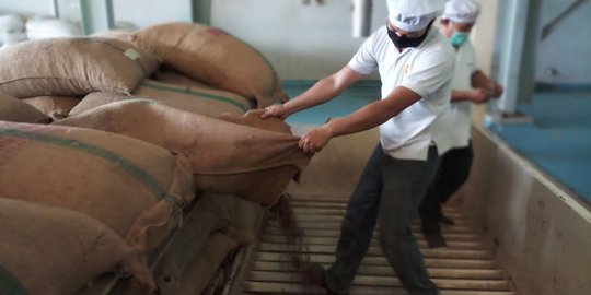 Kementan kawal 300 ton cocoa butter Kendari ke Belanda