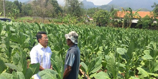 DPR reses, Misbakhun temui petani dan perajang tembakau