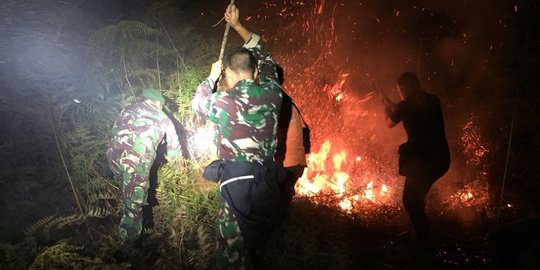 9 Hektare hutan di PPU Kaltim terbakar, dipadamkan manual oleh petugas