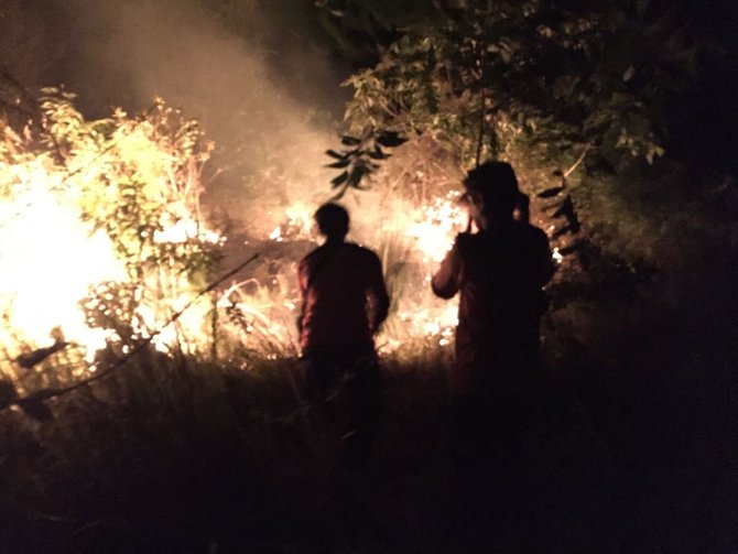 hutan di ppu kaltim terbakar