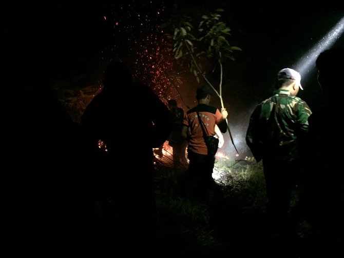 hutan di ppu kaltim terbakar