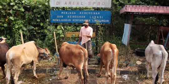 Pedagang hewan kurban dilarang berjualan di trotoar dan badan jalan