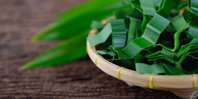 8 Khasiat kecantikan yang  terkandung di dalam daun  pandan  