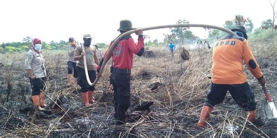 Tiga hari berturut-turut, karhutla di PPU Kaltim hanguskan 14 hektare lahan