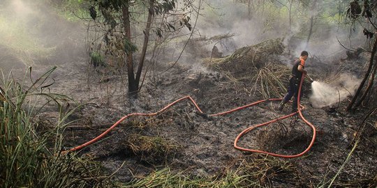 Asap kebakaran hutan ganggu atlet Asian Games, Wiranto janji tangani dengan cepat