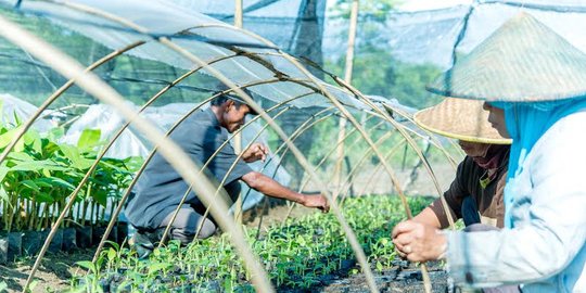 Bos BPS: Daya beli buruh tani turun 0,48 persen