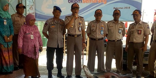 BKIPM tegaskan pemusnahan ikan berbahaya penuhi unsur kehewanan
