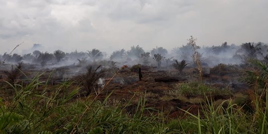 20 Hektare lahan gambut terbakar, petugas kewalahan jinakkan api