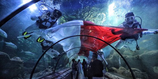 Penyelam arak bendera merah putih raksasa keliling aquarium Seaworld