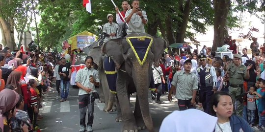 Dua gajah sumatera ramaikan pawai Hari Kemerdekaan di Langkat