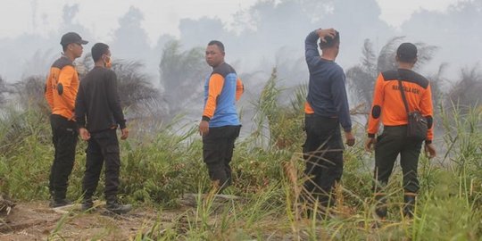 HUT RI, tim gabungan berjibaku padamkan kebakaran lahan gambut di PPU