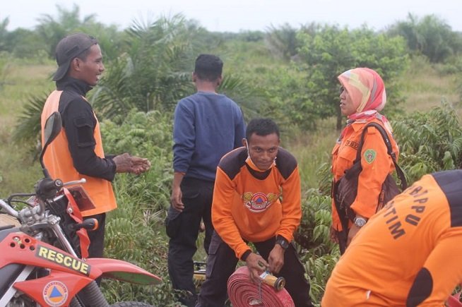 kebakaran lahan gambut di ppu kaltim