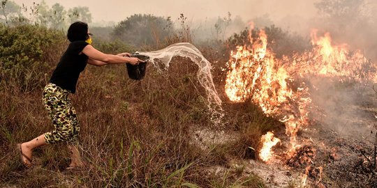 3 Warga Kalbar meninggal dunia karena kebakaran hutan dan lahan